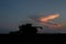 Combine harvester silhouette working through the night