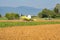 Combine Harvester in Soybean Field