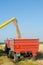 Combine harvester unloads wheat grain into tractor trailer