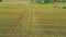 The combine harvester unloads wheat into the truck.