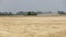 Combine harvester on the wheat field, Green harvester working on the field, view on the combines and tractors working on