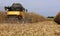 Combine harvester at work in the middle of a cornfield on a september day