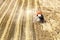 Combine harvester in work on ripe wheat field. agricultural landscape aerial view