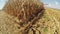 Combine Harvester Working on a Corn Field