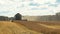 Combine harvester working on golden wheat field