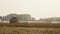 Combine Harvester Working And Harvesting Crops In The Agricultural Fields In Poland. - wide shot