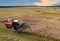 Combine harvester working in rapeseed field. Harvesting machine during cutting crop in a farmland. Combines at rapeseed harvesting