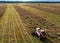 Combine harvester working in rapeseed field. Harvesting machine during cutting crop in a farmland. Combines at rapeseed harvesting