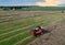 Combine harvester working in rapeseed field. Harvesting machine during cutting crop in a farmland. Combines at rapeseed harvesting