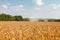 Combine harvester working in a wide wheat field