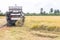 Combine harvesters machine harvesting paddy