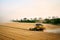 Combine harvesters working in a wheat field on sunset round about. Harvesting machine driver cutting crop in a farmland