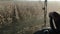 Combine harvesting corn, view from driver cabine