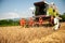 Combine harvesting grain on a hot summer afternoon - agricultur
