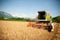 Combine harvesting grain on a hot summer afternoon - agricultur