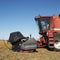 Combine harvesting soybeans