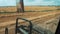 Combine harvesting wheat grain. View from the cab to the field,