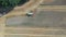 A combine harvests a field of grain in fine weather6