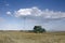 Combine harvests on the field. There are wind generators in the background