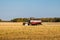 Combine harvests grain crops