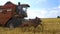 The combine harvests ripe wheat in the grain field near a residential area