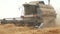 Combine machine harvest ripe dry pea plants in farm