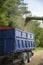 The combine pours wheat into the tractor trailer with a grain auger.