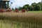 Combine removes rapes on the field. Rapeseed harvesting by combine on summer field