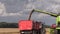 Combine thresher loads wheat grain on farmland field background