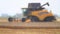 Combine and truck collects new crop wheat blurred picture