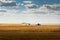 Combines harvest a wheat field in Rockyview County