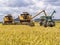 Combines harvester harvesting rice on a bright day