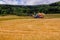 Combines harvesting grains and filling tractor trailer in summer on field