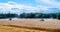 Combines at work in field during wheat harvesting