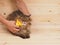 Combing brush and cat on the wood background