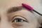 Combing, plucking eyebrows close-up. Close up of woman doing her make up, preparing brows using brush tool brushing