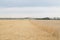 Combining a wheat field on the prairie