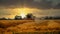 Combne harvester cutting a field of oats at sunset.