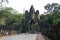 Combodia temples jungles