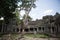 Combodia temples jungles
