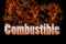 Combustible 3D illustration in fire text