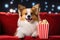 Comedic Canine Enjoying Popcorn and TV.