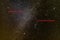 Comet 46P/Wirtanen in the night sky
