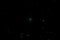 Comet 46P/Wirtanen in the night sky