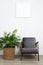 Comfortable armchair and beautiful houseplant