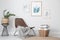 Comfortable armchair and plant near white wall at home. Idea for interior design