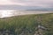 comfortable beach of the baltic sea with rocks and green vegetat