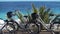 Comfortable bikes for active rest, travel around resort town, beautiful seascape