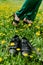 Comfortable shoes concept. Business woman changing shoes Work Heels from high heel to comfortable sneakers on green grass