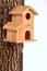 Comfortable starling-house on a tree trunk